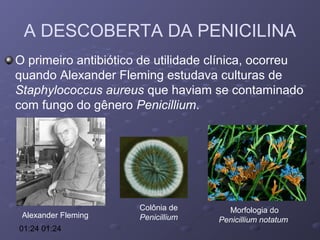 A DESCOBERTA DA PENICILINA
O primeiro antibiótico de utilidade clínica, ocorreu
quando Alexander Fleming estudava culturas de
Staphylococcus aureus que haviam se contaminado
com fungo do gênero Penicillium.

Alexander Fleming
01:24 01:24

Colônia de
Penicillium

Morfologia do
Penicillium notatum

 