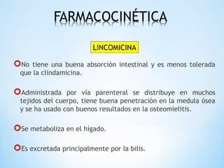 No tiene una buena absorción intestinal y es menos tolerada
que la clindamicina.
Administrada por vía parenteral se distribuye en muchos
tejidos del cuerpo, tiene buena penetración en la medula ósea
y se ha usado con buenos resultados en la osteomielitis.
Se metaboliza en el hígado.
Es excretada principalmente por la bilis.
LINCOMICINA
 