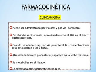 Puede ser administrada por vía oral y por vía parenteral.
 Se absorbe rápidamente, aproximadamente el 90% en el tracto
gastrointestinal.
Cuando se administran por vía parenteral las concentraciones
pico se alcanzan a las 3 horas.
Atraviesa la barrera placentaria y aparece en la leche materna.
Se metaboliza en el hígado.
Es excretada principalmente por la bilis.
CLINDAMICINA
 