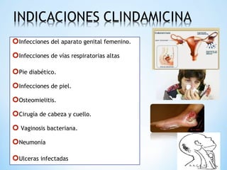 Infecciones del aparato genital femenino.
Infecciones de vías respiratorias altas
Pie diabético.
Infecciones de piel.
Osteomielitis.
Cirugía de cabeza y cuello.
 Vaginosis bacteriana.
Neumonía
Ulceras infectadas
 