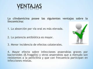La clindamicina posee las siguientes ventajas sobre la
lincomicina:
1. La absorción por vía oral es más elevada.
2. La potencia antibiótica es mayor.
3. Menor incidencia de efectos colaterales.
4. Mayor efecto sobre infecciones anaerobias graves por
bacteroides (B.fraggilis) y otros anaerobios que a menudo son
resistentes a la penicilina y que con frecuencia participan en
infecciones mixtas.
 