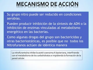 •Su grupo nitro puede ser reducido en condiciones
aerobias.
•Pueden producir inhibición de la síntesis de ADN o la
inhibición de enzimas vinculadas al metabolismo
energético en las bacterias.
•Como algunas drogas del grupo son bactericidas y
otras bacteriostáticas, es posible que no todos los
Nitrofuranos actúen de idéntica manera
La nitrofurantoína inhibe la acetil-coenzima A bacteriana, interfiriendo
con el metabolismo de los carbohidratos e impidiendo la formación de la
pared celular.
 