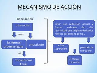 tripanocida
amastigote
Tiene acción
las formas
tripomastigote
contra
Tripanosoma
Crusi
del
Sufrir una reducción parcial y
formar radicales de alta
reactividad que originan derivados
tóxicos del oxigeno como ,
anión
superóxido
,
peróxido de
hidrógeno
el radical
hidroxilo
 