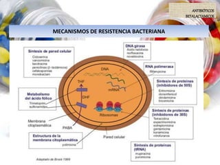 MECANISMOS DE RESISTENCIA BACTERIANA
ANTIBIÓTICOS
BETALACTAMICOS
 