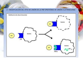 ANTIBIÓTICOSBETALACTAMICOS
2 – MODIFICACION DEL SÍTIO DE UNIÓN DE LA PBP (PROTEÍNAS DE UNIÓN A LA PENICILINA)
 
