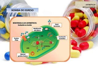 BOMBA DE EGRESO
ANTIBIÓTICOS
BETALACTAMICOS
 