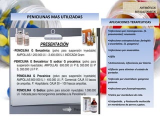 PENICILINAS MAS UTILIZADAS
ANTIBIÓTICOS
BETALACTAMICOS
Infecciones por meningococos. (S.
pneumoniae): neumonía.
Infecciones estreptocócicas: faringitis
o escarlatina. (S. pyogenes)
Infecciones por anaerobios.
Sífilis
Actinomicosis, infecciones por listeria.
Difteria: para eliminar el estado de
portador.
Infección por clostridium: gangrena
gaseosa.
Infecciones por fusoespiroquetas.
Fiebre por mordedura de rata.
Erisipeloide. y Pasteurella multocida
en mordeduras de perros y gatos.
APLICACIONES TERAPEUTICAS
 