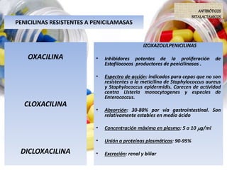 PENICILINAS RESISTENTES A PENICILAMASAS
ANTIBIÓTICOS
BETALACTAMICOS
IZOXAZOLILPENICILINAS
• Inhibidores potentes de la proliferación de
Estafilococos productores de penicilinasas .
• Espectro de acción: indicados para cepas que no son
resistentes a la meticilina de Staphylococcus aureus
y Staphylococcus epidermidis. Carecen de actividad
contra Listeria monocytogenes y especies de
Enterococcus.
• Absorción: 30-80% por vía gastrointestinal. Son
relativamente estables en medio ácido
• Concentración máxima en plasma: 5 a 10 g/ml
• Unión a proteínas plasmáticas: 90-95%
• Excreción: renal y biliar
OXACILINA
CLOXACILINA
DICLOXACILINA
 