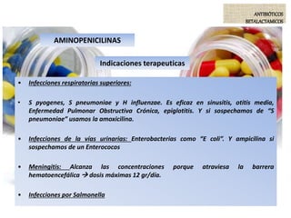 AMINOPENICILINAS
ANTIBIÓTICOS
BETALACTAMICOS
• Infecciones respiratorias superiores:
• S pyogenes, S pneumoniae y H influenzae. Es eficaz en sinusitis, otitis media,
Enfermedad Pulmonar Obstructiva Crónica, epiglotitis. Y si sospechamos de “S
pneumoniae” usamos la amoxicilina.
• Infecciones de la vías urinarias: Enterobacterias como “E coli”. Y ampicilina si
sospechamos de un Enterococos
• Meningitis: Alcanza las concentraciones porque atraviesa la barrera
hematoencefálica  dosis máximas 12 gr/día.
• Infecciones por Salmonella
Indicaciones terapeuticas
 