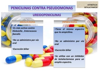 ANTIBIÓTICOS
BETALACTAMICOS
•Es más activa contra
Klebsiella , Enterococos
faecalis
•No se administra por vía
oral
•Excreción biliar
MEZLOCILINA PIPERACILINA
•Tiene el mismo espectro
que la ampicilina.
•No se administra por vía
oral
•Excreción biliar
•Se utiliza con un inhibidor
de betalactamasa para un
amplio espectro.
 