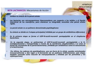 BETA LACTAMICOS: Mecanismos de Acción
• Inhiben la síntesis de la pared celular.
• Las bacterias son microorganismos hiperosmolares con respecto a los tejidos y al líquido
intersticial de los mamíferos, para mantener su integridad, necesitan una pared celular
rígida.
• La pared celular es un polímero denominado peptidoglicano
• Su síntesis se divide en 3 etapas principales( inhibida por un grupo de antibióticos diferentes).
• En la primera etapa se forma el UDP-N-acetil-muramil- pentapéptido en el citoplasma
bacteriano.
• En la segunda etapa, se polimerizan el UDP-N-acetil-muramil- pentapéptido y la N-
acetilglucosamina ( transportados a través de la membrana citoplasmática y se unen al
punto de crecimiento de la pared bacteriana). (Inhibida por antibióticos como la vancomicina
y la bacitracina).
• Por último, las cadenas de peptidoglicano, una vez fuera de la célula, quedan entrelazadas
transversalmente y dan lugar a la formación de un polímero tridimensional, esta etapa,
también conocida como reacción de transpeptidación ( Inhibida por las penicilinas y las
cefalosporinas).
ANTIBIÓTICOS
BETALACTAMICOS
 