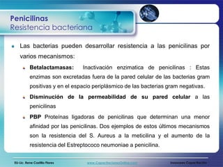 Penicilinas
Resistencia bacteriana

    Las bacterias pueden desarrollar resistencia a las penicilinas por
    varios mecanismos:
           Betalactamasas:      Inactivación enzimatica de penicilinas : Estas
           enzimas son excretadas fuera de la pared celular de las bacterias gram
           positivas y en el espacio periplásmico de las bacterias gram negativas.
           Disminución de la permeabilidad de su pared celular a las
           penicilinas
           PBP Proteínas ligadoras de penicilinas que determinan una menor
           afinidad por las penicilinas. Dos ejemplos de estos últimos mecanismos
           son la resistencia del S. Aureus a la meticilina y el aumento de la
           resistencia del Estreptococo neumoniae a penicilina.


 EU-Lic. Rene Castillo Flores     www.CapacitacionesOnline.com      Innovares Capacitación
 