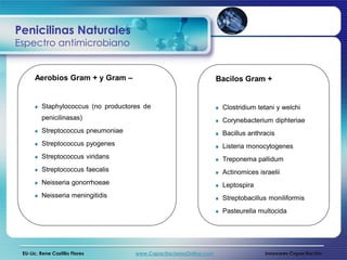 Penicilinas Naturales
Espectro antimicrobiano


      Aerobios Gram + y Gram –                                      Bacilos Gram +


         Staphylococcus (no productores de                           Clostridium tetani y welchi
         penicilinasas)                                              Corynebacterium diphteriae
         Streptococcus pneumoniae                                    Bacillus anthracis
         Streptococcus pyogenes                                      Listeria monocytogenes
         Streptococcus viridans                                      Treponema pallidum
         Streptococcus faecalis                                      Actinomices israelii
         Neisseria gonorrhoeae                                       Leptospira
         Neisseria meningitidis                                      Streptobacillus moniliformis
                                                                     Pasteurella multocida




 EU-Lic. Rene Castillo Flores        www.CapacitacionesOnline.com                  Innovares Capacitación
 