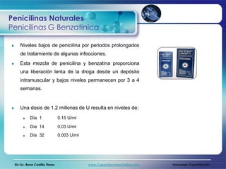 Penicilinas Naturales
Penicilinas G Benzatínica

    Niveles bajos de penicilina por periodos prolongados
    de tratamiento de algunas infecciones.
    Esta mezcla de penicilina y benzatina proporciona
    una liberación lenta de la droga desde un depósito
    intramuscular y bajos niveles permanecen por 3 a 4
    semanas.


    Una dosis de 1.2 millones de U resulta en niveles de:
           Día 1                0.15 U/ml

           Día 14               0.03 U/ml
           Día 32               0.003 U/ml




 EU-Lic. Rene Castillo Flores                www.CapacitacionesOnline.com   Innovares Capacitación
 