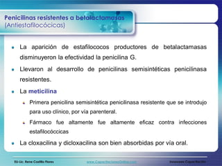 Penicilinas resistentes a betalactamasas
(Antiestafilocócicas)


      La aparición de estafilococos productores de betalactamasas
      disminuyeron la efectividad la penicilina G.
      Llevaron al desarrollo de penicilinas semisintéticas penicilinasa
      resistentes.
      La meticilina
             Primera penicilina semisintética penicilinasa resistente que se introdujo
             para uso clínico, por vía parenteral.
             Fármaco fue altamente fue altamente eficaz contra infecciones
             estafilocóccicas

      La cloxacilina y dicloxacilina son bien absorbidas por vía oral.

   EU-Lic. Rene Castillo Flores      www.CapacitacionesOnline.com     Innovares Capacitación
 