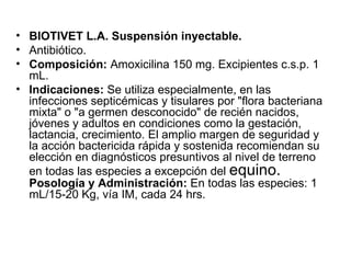 BIOTIVET L.A. Suspensión inyectable. Antibiótico. Composición:  Amoxicilina 150 mg. Excipientes c.s.p. 1 mL.  Indicaciones:  Se utiliza especialmente, en las infecciones septicémicas y tisulares por "flora bacteriana mixta" o "a germen desconocido" de recién nacidos, jóvenes y adultos en condiciones como la gestación, lactancia, crecimiento. El amplio margen de seguridad y la acción bactericida rápida y sostenida recomiendan su elección en diagnósticos presuntivos al nivel de terreno en todas las especies a excepción del  equino.   Posología y Administración:  En todas las especies: 1 mL/15-20 Kg, vía IM, cada 24 hrs.  