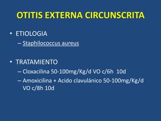 OTITIS EXTERNA CIRCUNSCRITA
• ETIOLOGIA
– Staphilococcus aureus
• TRATAMIENTO
– Cloxacilina 50-100mg/Kg/d VO c/6h 10d
– Amoxicilina + Acido clavulánico 50-100mg/Kg/d
VO c/8h 10d
 