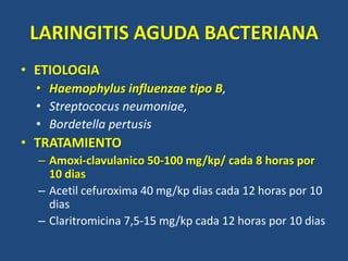 LARINGITIS AGUDA BACTERIANA
• ETIOLOGIA
• Haemophylus influenzae tipo B,
• Streptococus neumoniae,
• Bordetella pertusis
• TRATAMIENTO
– Amoxi-clavulanico 50-100 mg/kp/ cada 8 horas por
10 dias
– Acetil cefuroxima 40 mg/kp dias cada 12 horas por 10
dias
– Claritromicina 7,5-15 mg/kp cada 12 horas por 10 dias
 