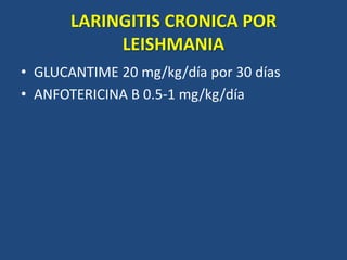 LARINGITIS CRONICA POR
LEISHMANIA
• GLUCANTIME 20 mg/kg/día por 30 días
• ANFOTERICINA B 0.5-1 mg/kg/día
 