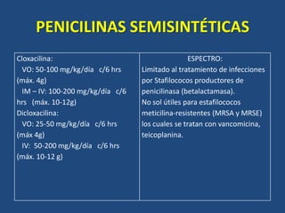 PENICILINAS SEMISINTÉTICAS
Cloxacilina:
VO: 50-100 mg/kg/día c/6 hrs
(máx. 4g)
IM – IV: 100-200 mg/kg/día c/6
hrs (máx. 10-12g)
Dicloxacilina:
VO: 25-50 mg/kg/día c/6 hrs
(máx 4g)
IV: 50-200 mg/kg/día c/6 hrs
(máx. 10-12 g)
ESPECTRO:
Limitado al tratamiento de infecciones
por Stafilococos productores de
penicilinasa (betalactamasa).
No sol útiles para estafilococos
meticilina-resistentes (MRSA y MRSE)
los cuales se tratan con vancomicina,
teicoplanina.
 