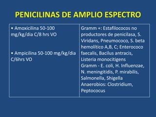 PENICILINAS DE AMPLIO ESPECTRO
• Amoxicilina 50-100
mg/kg/dia C/8 hrs VO
• Ampicilina 50-100 mg/kg/dia
C/6hrs VO
Gramm +: Estafilococos no
productores de penicilasa, S.
Viridans, Pneumococo, S. beta
hemolítico A,B, C; Enterococo
faecalis, Bacilus antracis,
Listeria monocitigens
Gramm - E. coli, H. Influenzae,
N. meningitidis, P. mirabilis,
Salmonella, Shigella
Anaerobios: Clostridium,
Peptococus
 