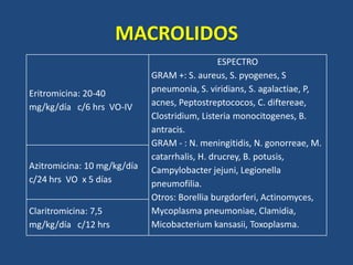 MACROLIDOS
Eritromicina: 20-40
mg/kg/día c/6 hrs VO-IV
ESPECTRO
GRAM +: S. aureus, S. pyogenes, S
pneumonia, S. viridians, S. agalactiae, P,
acnes, Peptostreptococos, C. diftereae,
Clostridium, Listeria monocitogenes, B.
antracis.
GRAM - : N. meningitidis, N. gonorreae, M.
catarrhalis, H. drucrey, B. potusis,
Campylobacter jejuni, Legionella
pneumofilia.
Otros: Borellia burgdorferi, Actinomyces,
Mycoplasma pneumoniae, Clamidia,
Micobacterium kansasii, Toxoplasma.
Azitromicina: 10 mg/kg/día
c/24 hrs VO x 5 días
Claritromicina: 7,5
mg/kg/día c/12 hrs
 