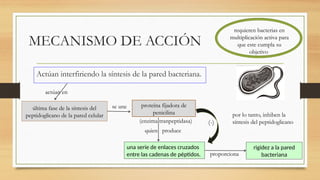 MECANISMO DE ACCIÓN
Actúan interfiriendo la síntesis de la pared bacteriana.
requieren bacterias en
multiplicación activa para
que este cumpla su
objetivo
última fase de la síntesis del
peptidoglicano de la pared celular
actúan en
proteína fijadora de
penicilina
(enzima tranpeptidasa)
se une
una serie de enlaces cruzados
entre las cadenas de péptidos.
quien produce
rigidez a la pared
bacteriana
proporciona
(-)
por lo tanto, inhiben la
síntesis del peptidoglicano
 