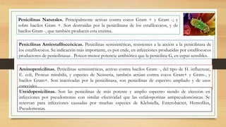 Penicilinas Naturales. Principalmente activas contra cocos Gram + y Gram -; y
sobre bacilos Gram +. Son destruidas por la penicilinasa de los estafilococos, y de
bacilos Gram -, que también producen esta enzima.
Penicilinas Antiestafiloccócicas. Penicilinas semisintéticas, resistentes a la acción a la penicilinasa de
los estafilococos. Su indicación más importante, es por ende, en infecciones producidas por estafilococos
productores de penicilinasas . Poseen menor potencia antibiótica que la penicilina G, en cepas sensibles.
Aminopenicilinas. Penicilinas semisintéticas, activas contra bacilos Gram -, del tipo de H. influenzae,
E. coli, Proteus mirabilis, y especies de Neisseria, también actúan contra cocos Gram+ y Gram-, y
bacilos Gram+. Son inactivadas por la penicilinasa, son penicilinas de espectro ampliado y de usos
especiales .
Ureidopenicilinas. Son las penicilinas de más potente y amplio espectro siendo de elección en
infecciones por pseudomonas con similar efectividad que las cefalosporinas antipseudomónicas. Se
reservan para infecciones causadas por muchas especies de Klebsiella, Enterobacter, Hemofilus,
Pseudomonas.
 