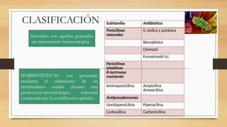 CLASIFICACIÓN Subfamilia Antibiótico
Penicilinas
naturales
G sódica y potásica
Benzatínica
Clemizol
Fenoximetil (v)
Penicilinas
sintéticas
B-lactmasa
resistente
Aminopenicilina Ampicilina
Amoxicilina
Antipseudomonas
Ureidopenicilina Piperacilina
Carboxilina Carbenicilina
Naturales: son aquellas generadas
sin intervención biotecnológica.
SEMISINTETICAS: son generadas
mediante el aislamiento de un
intermediario estable durante una
producción microbiológica industrial
continuada por la modificación química.
 