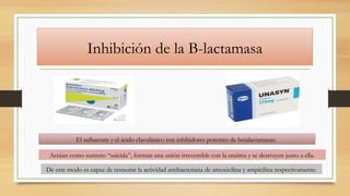 Inhibición de la B-lactamasa
El sulbactam y el ácido clavulánico son inhibidores potentes de betalactamasas.
Actúan como sustrato “suicida”, forman una unión irreversible con la enzima y se destruyen junto a ella.
De este modo es capaz de restaurar la actividad antibacteriana de amoxicilina y ampicilina respectivamente.
 