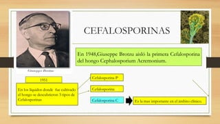 En los líquidos donde fue cultivado
el hongo se descubrieron 3 tipos de
Cefalosporinas
Cefalosporina P
Cefalosporina N
Cefalosporina C Es la mas importante en el ámbito clínico.
1951
En 1948,Giuseppe Brotzu aisló la primera Cefalosporina
del hongo Cephalosporium Acremonium.
CEFALOSPORINAS
 