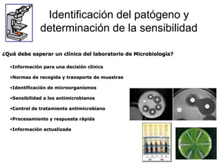 Identificación del patógeno y
              determinación de la sensibilidad

¿Qué debe esperar un clínico del laboratorio de Microbiología?

  •Información para una decisión clínica

  •Normas de recogida y transporte de muestras

  •Identificación de microorganismos

  •Sensibilidad a los antimicrobianos

  •Control de tratamiento antimicrobiano

  •Procesamiento y respuesta rápida

  •Información actualizada
 