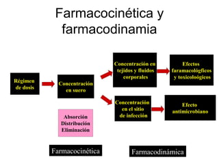 Farmacocinética y
             farmacodinamia

                             Concentración en          Efectos
                              tejidos y fluidos   faramacológficos
                                 corporales        y toxicoloógicos
Régimen      Concentración
de dosis       en suero

                             Concentración            Efecto
                               en el sitio        antimicrobiano
              Absorción       de infección
             Distribución
             Eliminación


           Farmacocinética          Farmacodinámica
 