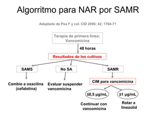 Algorritmo para NAR por SAMR
               Adaptado de Pea F y col. CID 2006; 42: 1764-71


                       Terapia de primera línea:
                             Vancomicina
                                       48 horas

                       Resultados de los cultivos


      SAMS                 No SA                        SAMR


                                              CIM para vancomicina
Cambio a oxacilina   Evaluar suspender
   (cefalotina)      vancomicina
                                           ≤0,5 μg/mL           ≥1 μg/mL

                                       Continuar con             Rotar a
                                        vancomicina             linezolid
 