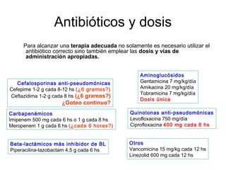 Antibióticos y dosis
     Para alcanzar una terapia adecuada no solamente es necesario utilizar el
      antibiótico correcto sino también emplear las dosis y vías de
      administración apropiadas.


                                                  Aminoglucósidos
   Cefalosporinas anti-pseudomónicas              Gentamicina 7 mg/kg/día
Cefepime 1-2 g cada 8-12 hs (¿6 gramos?)          Amikacina 20 mg/kg/día
                                                  Tobramicina 7 mg/kg/día
Ceftazidima 1-2 g cada 8 hs (¿6 gramos?)
                                                  Dosis única
                     ¿Goteo continuo?
Carbapenémicos                                Quinolonas anti-pseudomónicas
Imipenem 500 mg cada 6 hs o 1 g cada 8 hs     Levofloxacina 750 mg/día
Meropenem 1 g cada 8 hs (¿cada 6 horas?)      Ciprofloxacina 400 mg cada 8 hs


Beta-lactámicos más inhibidor de BL          Otros
Piperacilina-tazobactam 4,5 g cada 6 hs      Vancomicina 15 mg/kg cada 12 hs
                                             Linezolid 600 mg cada 12 hs
 
