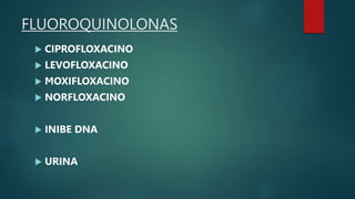 FLUOROQUINOLONAS
 CIPROFLOXACINO
 LEVOFLOXACINO
 MOXIFLOXACINO
 NORFLOXACINO
 INIBE DNA
 URINA
 