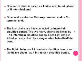  One end of chain is called as Amino acid terminal end
or N - terminal end.
 Other end is called as Carboxy terminal end or C -
terminal end.
 The four chains are interconnected by Interchain
disulfide bonds. The two heavy chains are linked by 1
– 13 interchain disulfide bonds. Each light chain is
linked to heavy chain by a single interchain disulfide
bond.
 The light chain has 2 intrachain disulfide bonds and
the heavy chain has 4 intrachain disulfide bonds.
 