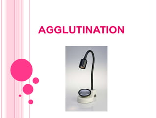 AGGLUTINATION
 