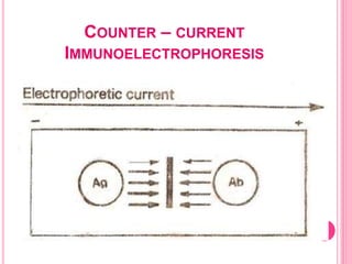 COUNTER – CURRENT
IMMUNOELECTROPHORESIS
 