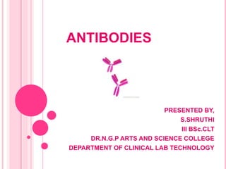 ANTIBODIES
PRESENTED BY,
S.SHRUTHI
III BSc.CLT
DR.N.G.P ARTS AND SCIENCE COLLEGE
DEPARTMENT OF CLINICAL LAB TECHNOLOGY
 