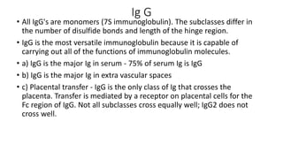 Ig G
• All IgG's are monomers (7S immunoglobulin). The subclasses differ in
the number of disulfide bonds and length of the hinge region.
• IgG is the most versatile immunoglobulin because it is capable of
carrying out all of the functions of immunoglobulin molecules.
• a) IgG is the major Ig in serum - 75% of serum Ig is IgG
• b) IgG is the major Ig in extra vascular spaces
• c) Placental transfer - IgG is the only class of Ig that crosses the
placenta. Transfer is mediated by a receptor on placental cells for the
Fc region of IgG. Not all subclasses cross equally well; IgG2 does not
cross well.
 