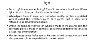 Ig A
• Serum IgA is a monomer but IgA found in secretions is a dimer. When
IgA exits as a dimer, a J chain is associated with it.
• When IgA is found in secretions is also has another protein associated
with it called the secretory piece or T piece; sIgA is sometimes
referred to as 11S immunoglobulin.
• Unlike the remainder of the IgA which is made in the plasma cell, the
secretory piece is made in epithelial cells and is added to the IgA as it
passes into the secretions.
• The secretory piece helps IgA to be transported across mucosa and
also protects it from degradation in the secretions.
 