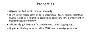 Properties
• a) IgA is the 2nd most common serum Ig.
• b) IgA is the major class of Ig in secretions - tears, saliva, colostrum,
mucus. Since it is found in secretions secretory IgA is important in
local (mucosal) immunity.
• c) Normally IgA does not fix complement, unless aggregated.
• d) IgA can binding to some cells - PMN's and some lymphocytes.
 