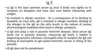 Ig E
• a) IgE is the least common serum Ig since it binds very tightly to Fc
receptors on basophils and mast cells even before interacting with
antigen.
• b) Involved in allergic reactions - As a consequence of its binding to
basophils an mast cells, IgE is involved in allergic reactions. Binding of
the allergen to the IgE on the cells results in the release of various
pharmacological mediators that result in allergic symptoms.
• c) IgE also plays a role in parasitic helminth diseases. Since serum IgE
levels rise in parasitic diseases, measuring IgE levels is helpful in
diagnosing parasitic infections. Eosinophils have Fc receptors for IgE and
binding of eosinophils to IgE-coated helminths results in killing of the
parasite.
• d) IgE does not fix complement.
 