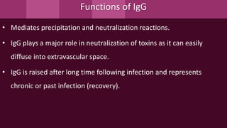 Functions of IgG
• Mediates precipitation and neutralization reactions.
• IgG plays a major role in neutralization of toxins as it can easily
diffuse into extravascular space.
• IgG is raised after long time following infection and represents
chronic or past infection (recovery).
 