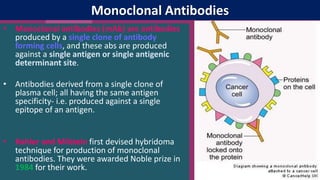 Monoclonal Antibodies
• Monoclonal antibodies (mAb) are antibodies
produced by a single clone of antibody
forming cells, and these abs are produced
against a single antigen or single antigenic
determinant site.
• Antibodies derived from a single clone of
plasma cell; all having the same antigen
specificity- i.e. produced against a single
epitope of an antigen.
• Kohler and Milstein first devised hybridoma
technique for production of monoclonal
antibodies. They were awarded Noble prize in
1984 for their work.
 
