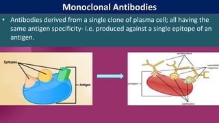 Monoclonal Antibodies
• Antibodies derived from a single clone of plasma cell; all having the
same antigen specificity- i.e. produced against a single epitope of an
antigen.
 