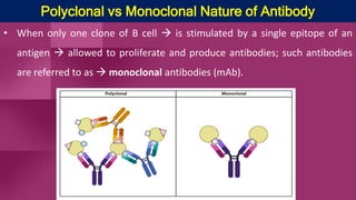 Polyclonal vs Monoclonal Nature of Antibody
• When only one clone of B cell  is stimulated by a single epitope of an
antigen  allowed to proliferate and produce antibodies; such antibodies
are referred to as  monoclonal antibodies (mAb).
 