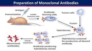 Preparation of Monoclonal Antibodies
 