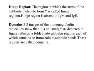 14
Hinge Region: The region at which the arms of the
antibody molecule form Y is called hinge
regionn.Hinge region is absent in IgM and IgE.
Domains:3D images of the immunoglobulin
molecules show that it is not straight as depicted in
figure rather,it is folded into globular regions each of
which contains an intrachain disulphide bonds.These
regions are called domains.
 